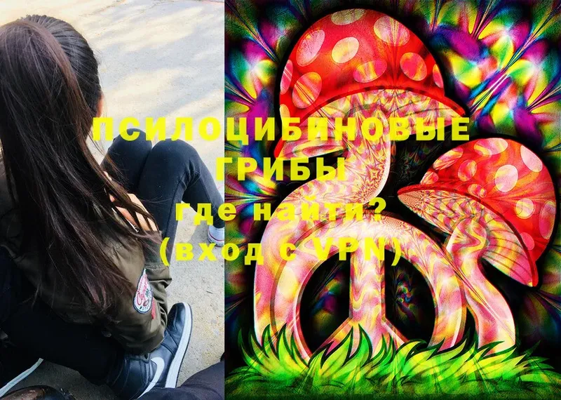 Галлюциногенные грибы Psilocybine cubensis  закладка  Бокситогорск 