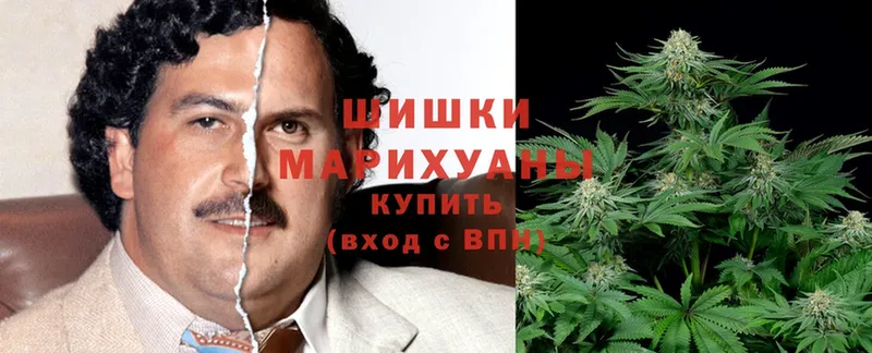 Шишки марихуана THC 21%  мега рабочий сайт  Бокситогорск 